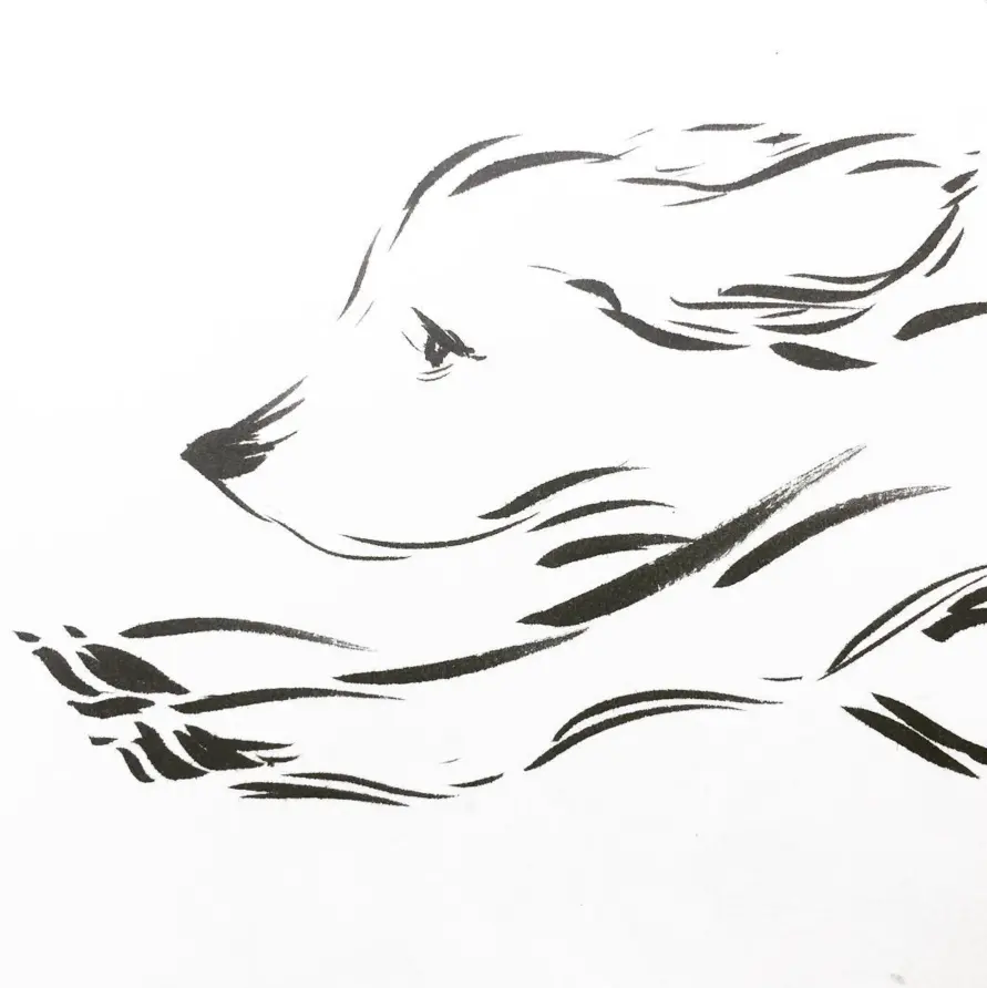 Dog brush ink sketch