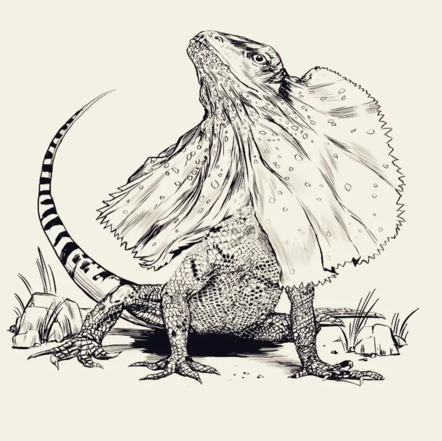 Frilled lizard ink drawing